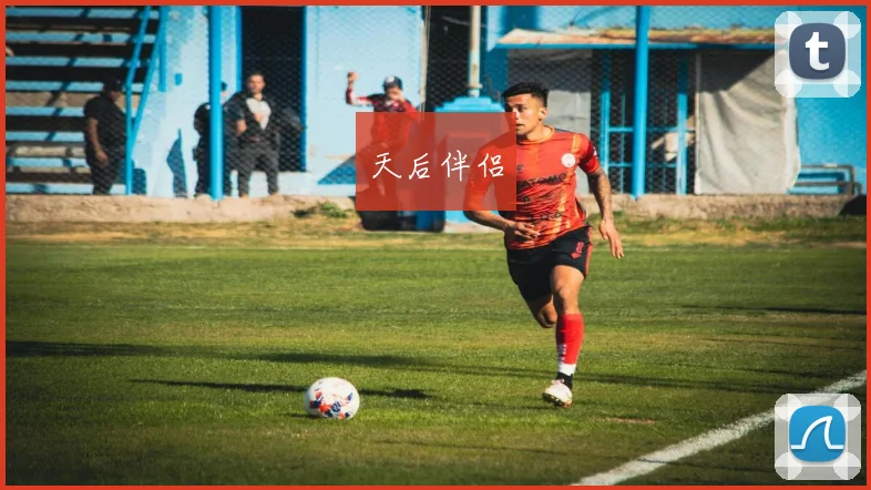 天后伴侣